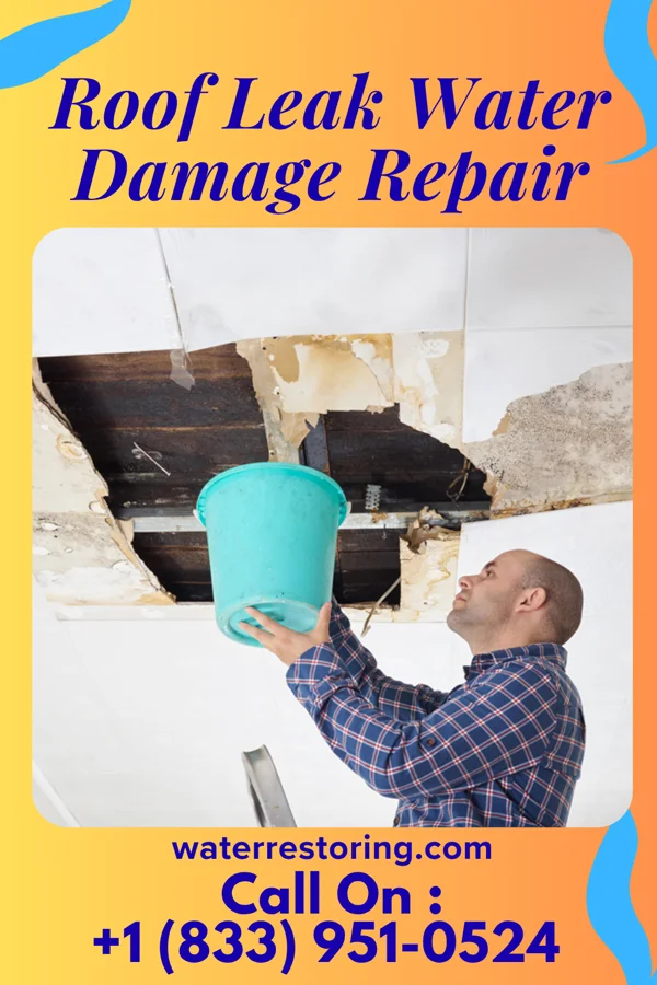 Roof Leak Water Damage Repair in Emelle, AL